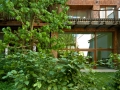 bg-25Verde-148