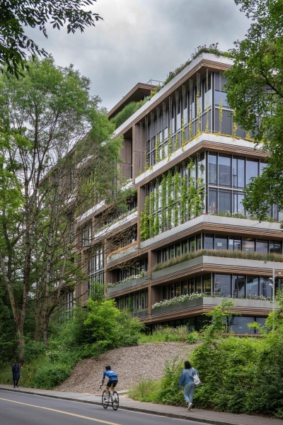 MSF - Médecins Sans Frontières Genf,MSF - Médecins Sans Frontières Genf,MSF - Médecins Sans Frontières Genf