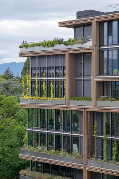 MSF - Médecins Sans Frontières Genf,MSF - Médecins Sans Frontières Genf,MSF - Médecins Sans Frontières Genf