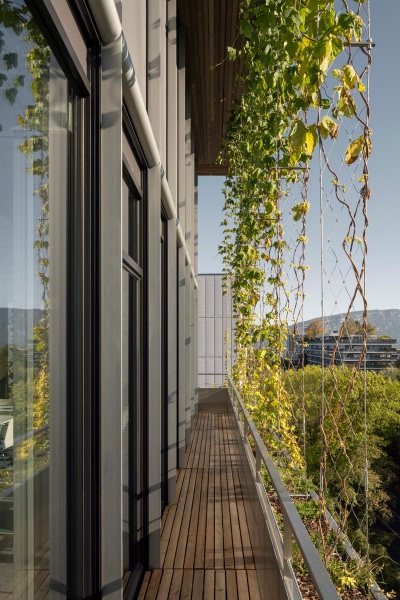 MSF - Médecins Sans Frontières Genf,MSF - Médecins Sans Frontières Genf,MSF - Médecins Sans Frontières Genf