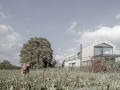 raumbau_architekten_angle_house.jpg