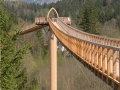 218-Baumkronenwege-04.jpg