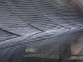 Photo (2)