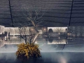 iphone (4)