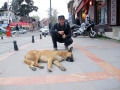 BILD zu OTS - Ovidiu Anton, PortrÃ¤t
Gewinner des Hauptpreises des Ideenwettbewerbs âCreate Your Bucharestâ mit dem Projekt âHow I miss Bucharest or The Journey of a Dog's Lifeâ
