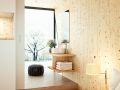 DropBox08