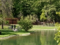 03_David-Boureau_garden-and-fence