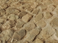 2009-03-01_13113