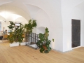 1346_Adaptierung-Gemeindeamt-St.-Gallen-9