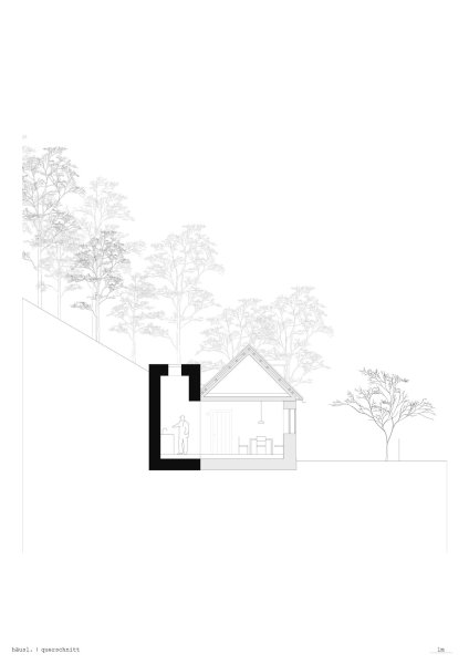 Häusl_schnitt_1zu100_103