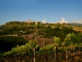 Landschaft-San-Gimignano-i-pini