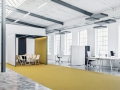 CAS_Rooms_CarpetConcept_NicolaRomanWalbeck.jpg