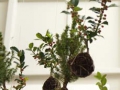 06_Stringgardens