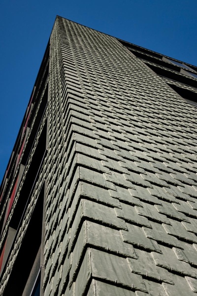 White-Lumi-Maj-2024-691