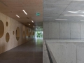 08_VitoStallone