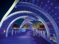 LBB-bridge-canopy-at-night