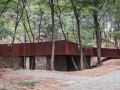 07main-image-in-forest