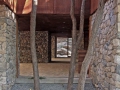 14building-and-tree