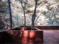 23building-and-tree
