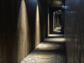 _DSC8913_final