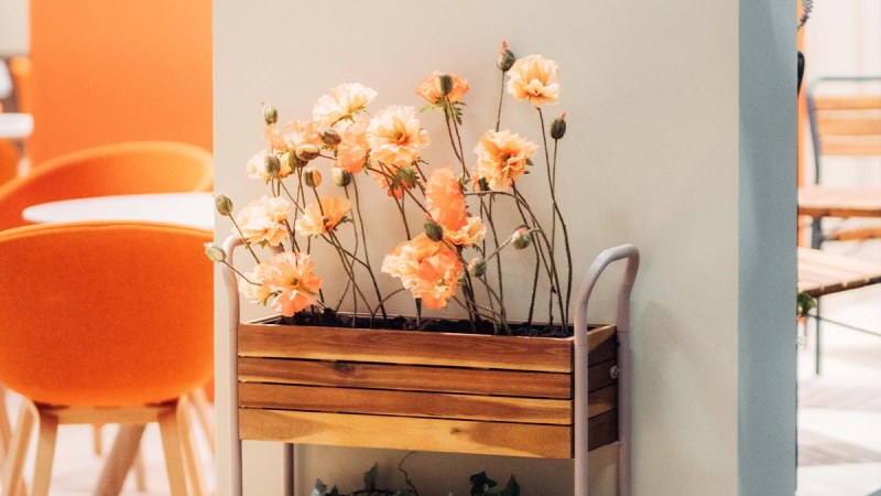 spogagafa_architektur_online_1