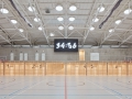Sporadical11