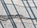 14_Photo of Layered Concrete Detail