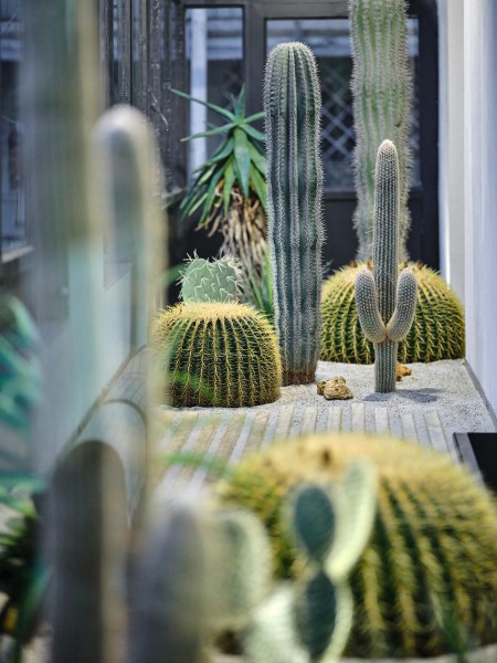 LOVE-architecture_VDB_13