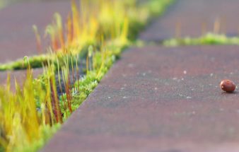 Freiraum – Luxus oder Notwendigkeit?