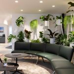 Der grüne Raumteiler