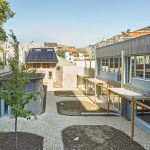 Neues Leben im Hinterhof