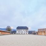 Robust und reflektiert