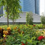 Apfel im Glashaus